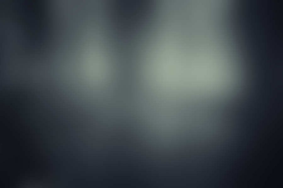 Lake in a dark forest with fog