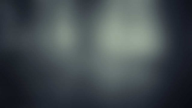 Lake in a dark forest with fog