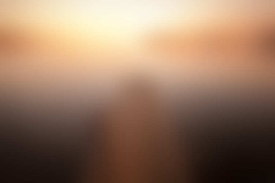 Autumnal foggy morning